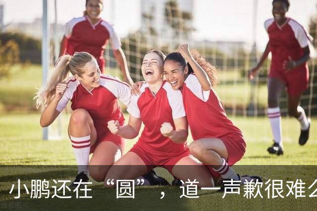小鹏还在“圆”，道一声歉很难么